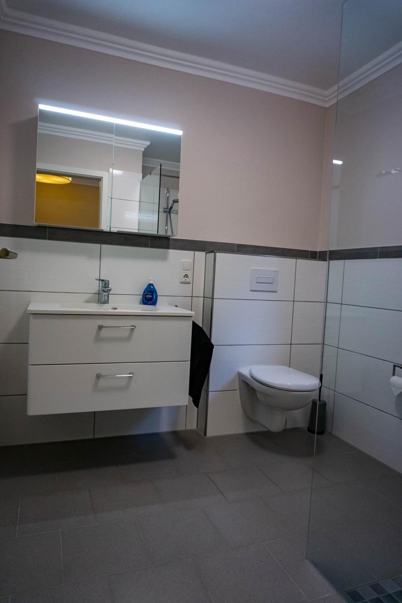 Haus Strandlust- Gemuetliches Studio Direkt Am Duemmer Apartamento Lembruch Exterior foto